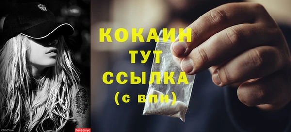 ПСИЛОЦИБИНОВЫЕ ГРИБЫ Дмитриев
