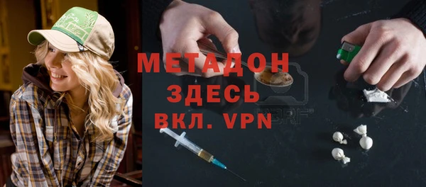 ПСИЛОЦИБИНОВЫЕ ГРИБЫ Дмитриев
