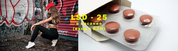 ПСИЛОЦИБИНОВЫЕ ГРИБЫ Дмитриев