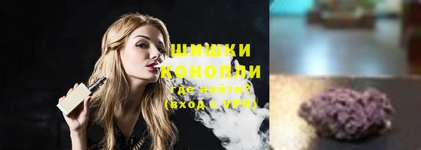 ПСИЛОЦИБИНОВЫЕ ГРИБЫ Дмитриев