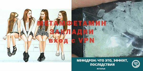 ПСИЛОЦИБИНОВЫЕ ГРИБЫ Дмитриев