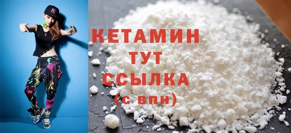 ПСИЛОЦИБИНОВЫЕ ГРИБЫ Дмитриев