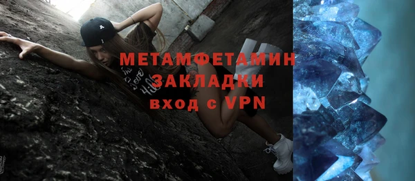 ПСИЛОЦИБИНОВЫЕ ГРИБЫ Дмитриев