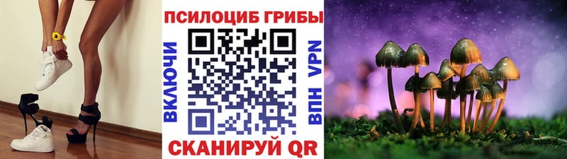 Купить закладки  Нефтегорск  Галлюциногенные грибы Magic Shrooms 